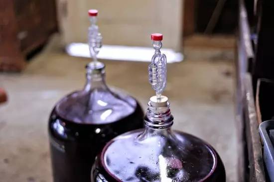 怎么吃葡萄不吐葡萄皮呢,如何吃葡萄不吐葡萄皮