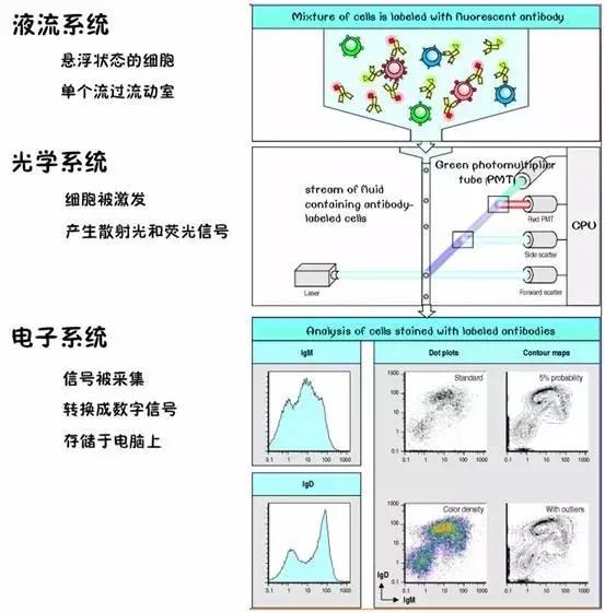 你这磨人的小妖精视频,你这磨人的小妖精下一句是什么呢