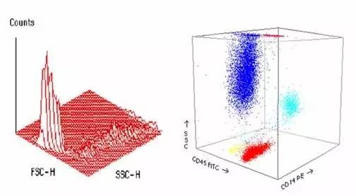 你这磨人的小妖精视频,你这磨人的小妖精下一句是什么呢