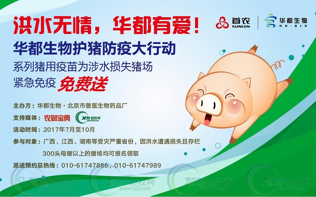 洪水无情抢险救灾人间有爱,洪水无情人间有爱捐赠河南灾区