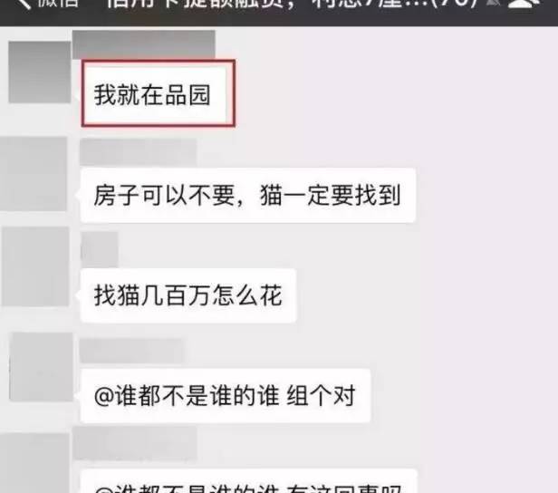 苏州吴中区寻猫启事粉色铃铛,丢猫寻猫启事苏州