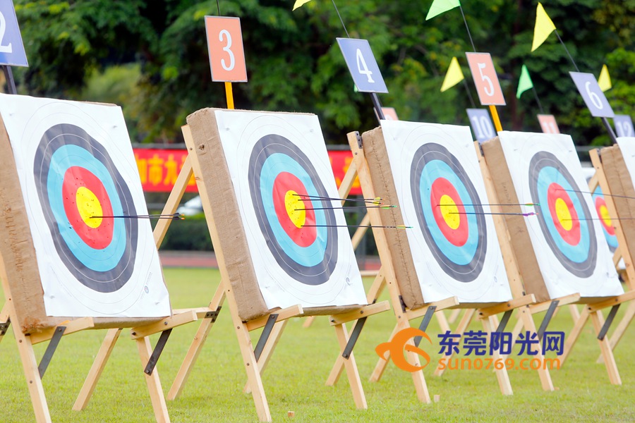 东莞第九届运动会,第九届东莞市市运会