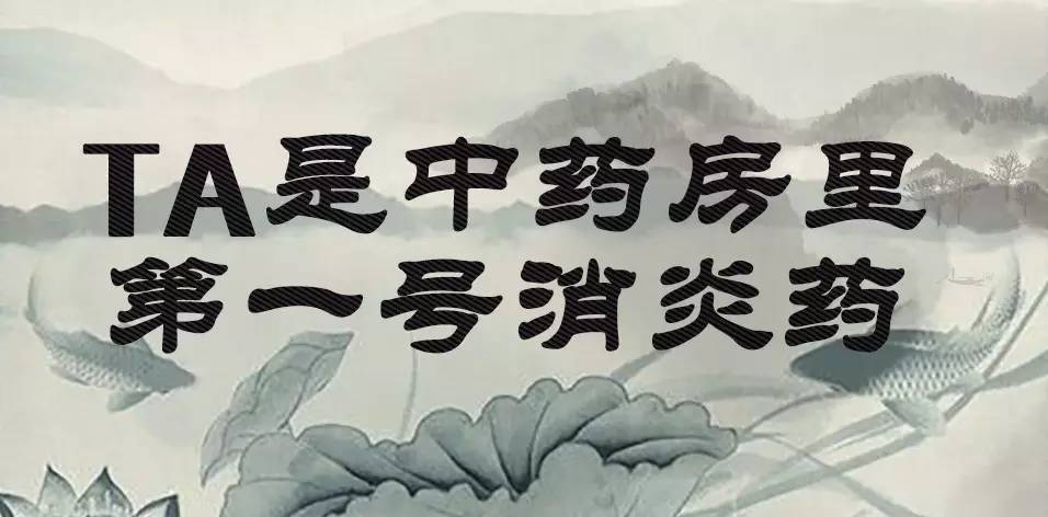 「百草园」那些“悬壶济世”的植物(十六)穿心莲