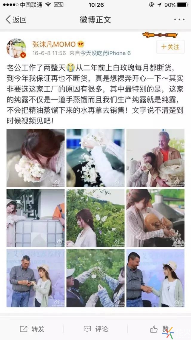 张沫凡讲网红赚钱,张沫凡25岁视频