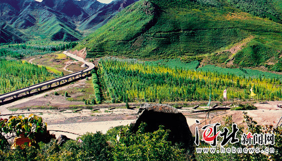 在燕赵大地续写绿色传奇