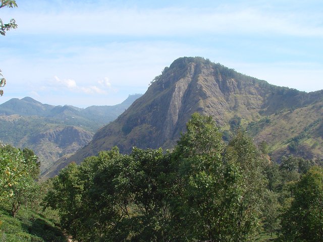 在斯里兰卡旅游必做的10件事,在斯里兰卡的难忘旅行经历