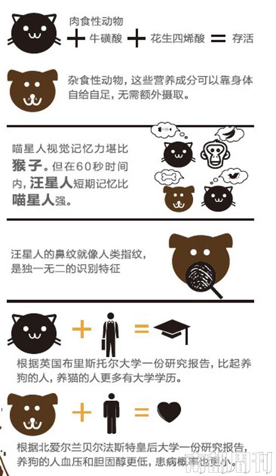 猫咪经济学家,猫咪经济学