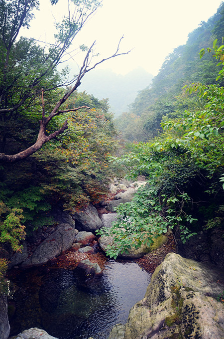 老君山仙境高清图片,老君山似天上宫阙