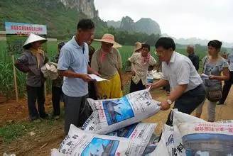 尿素价格回调,化肥尿素价格行情走势