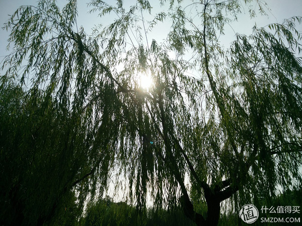 vivox5max值不值入手,vivox5max是最薄的手机吗