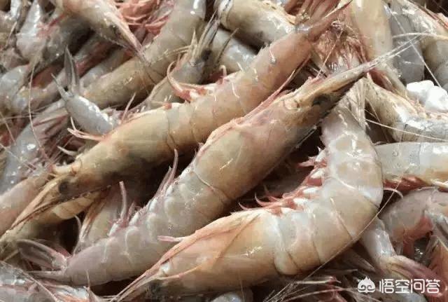 海鲜腥味怎么去除,海鲜味道怎么去掉