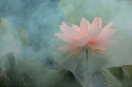 好听的句子唯美短句,好听的句子唯美短句学生