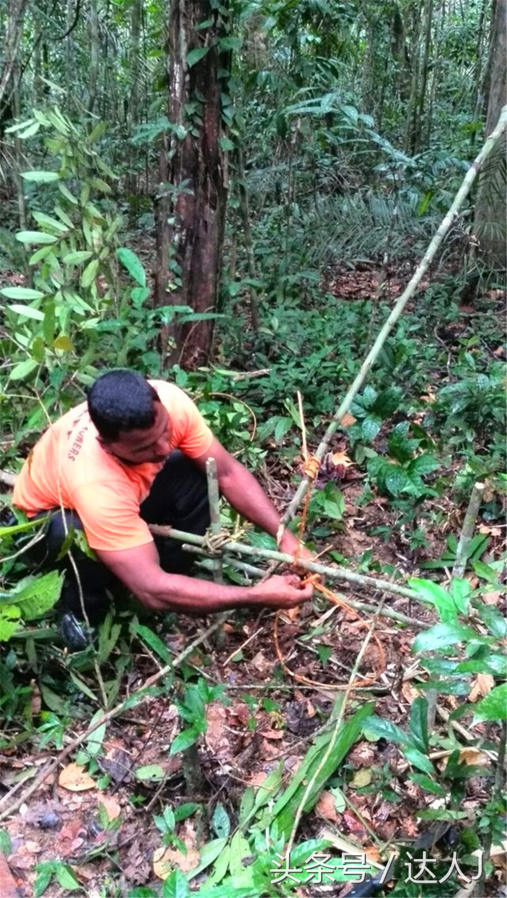 从亚马逊雨林到安纳托,最靠近亚马逊丛林的城市