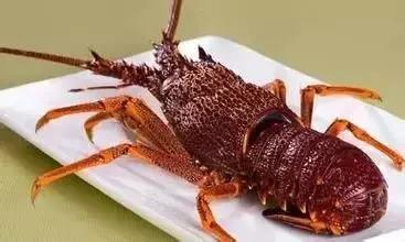 新西兰十大顶级食材,新西兰海鲜有哪些品类