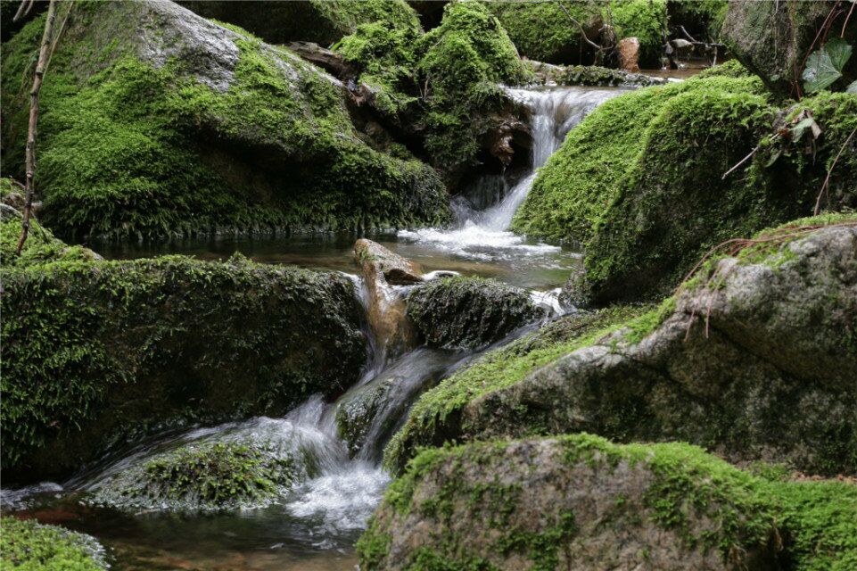 隐藏在森林里的现代别墅,隐藏在深山的豪宅