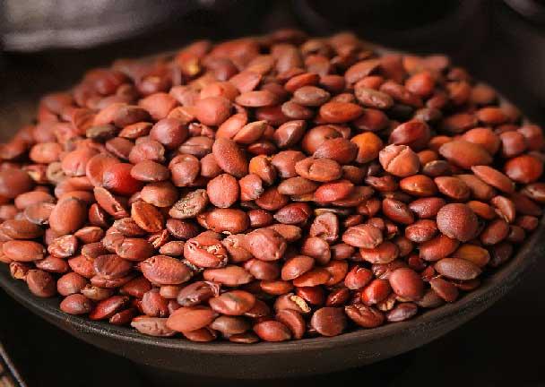 三伏天是失眠高峰期，用这两种不起眼的东西泡水喝，睡个好觉！