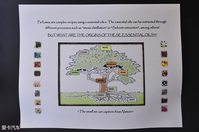 海陆皆猛虎路虎百慕大美洲帆船赛之旅