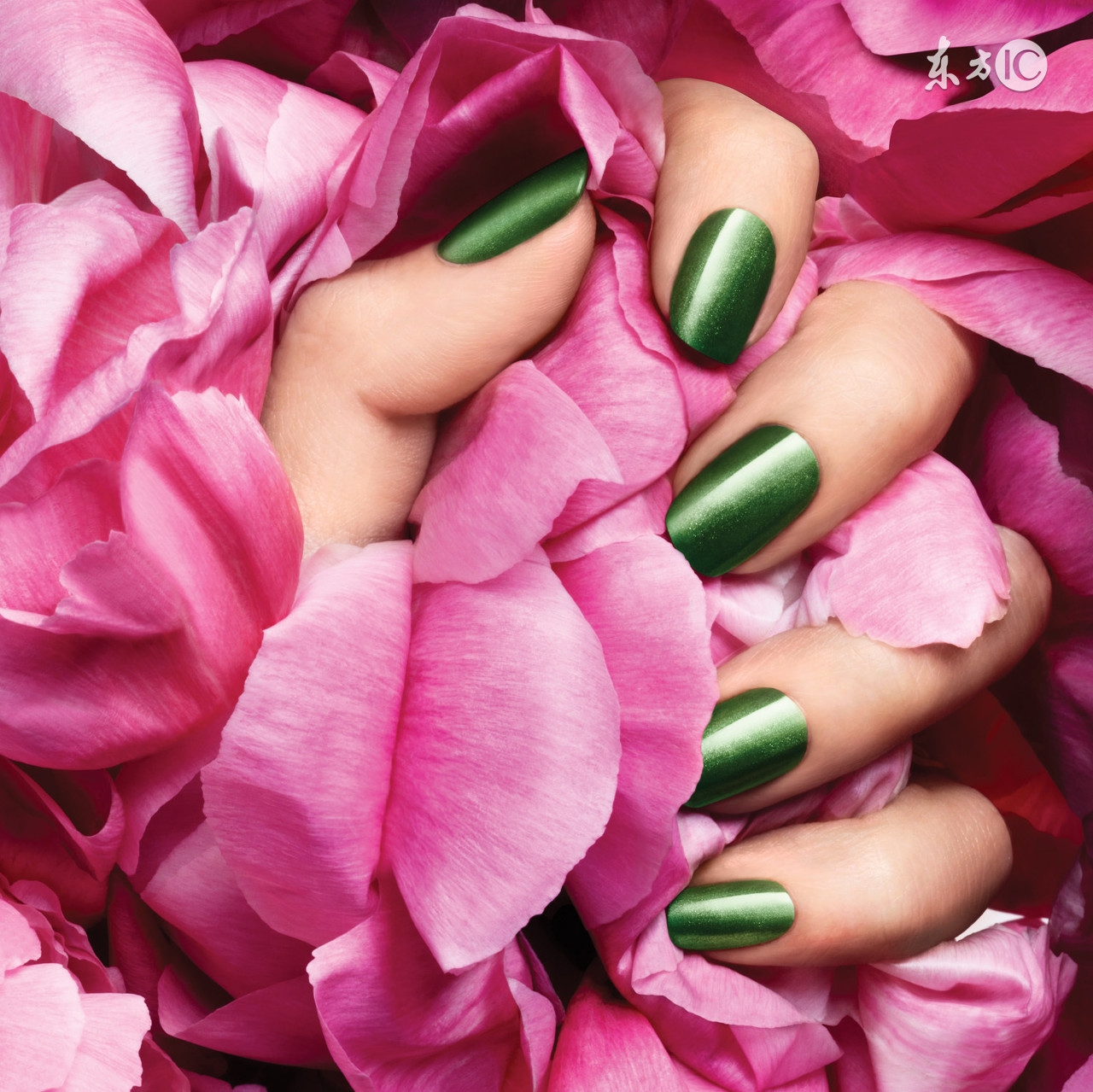 美甲店店长后期入股合伙方案,美甲店店长推荐的书有哪些