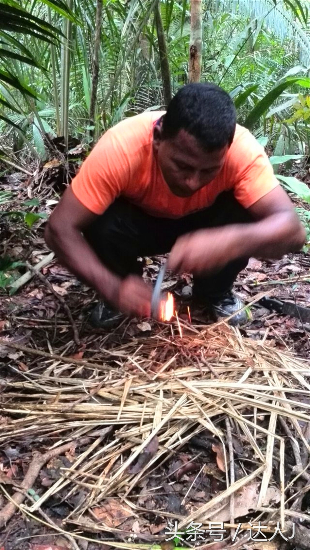 从亚马逊雨林到安纳托,最靠近亚马逊丛林的城市