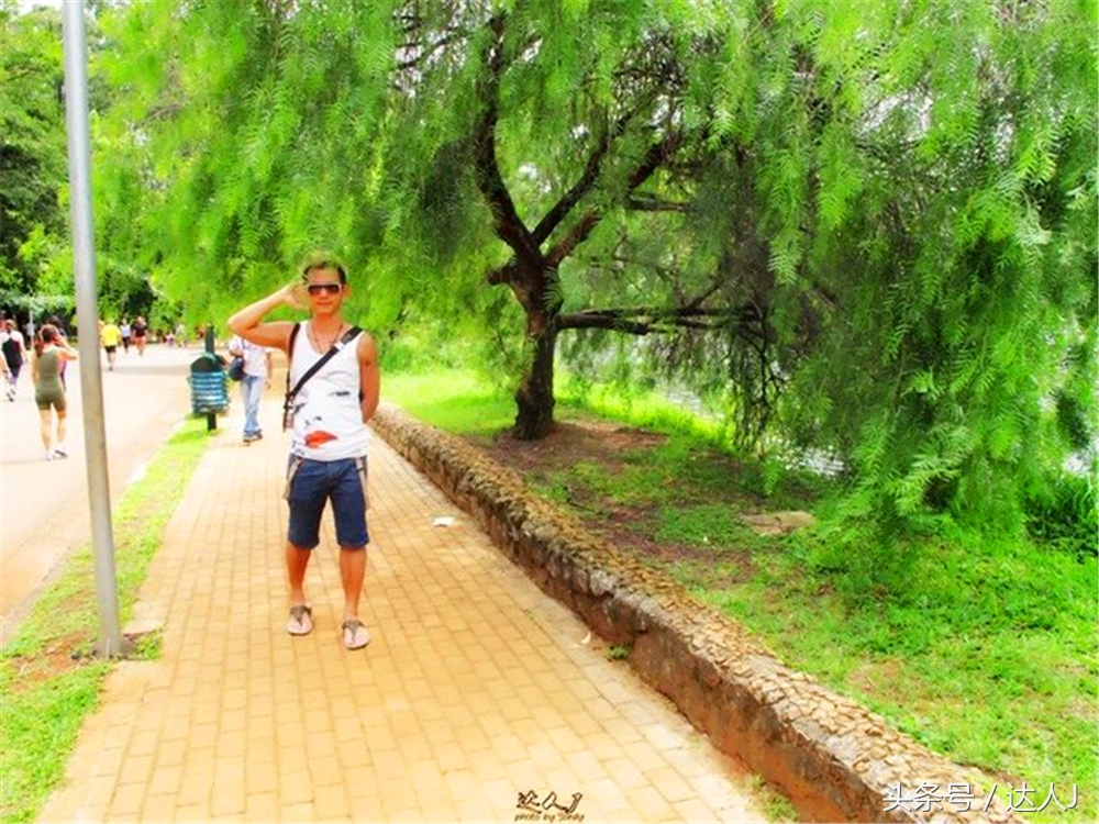 从亚马逊雨林到安纳托,最靠近亚马逊丛林的城市