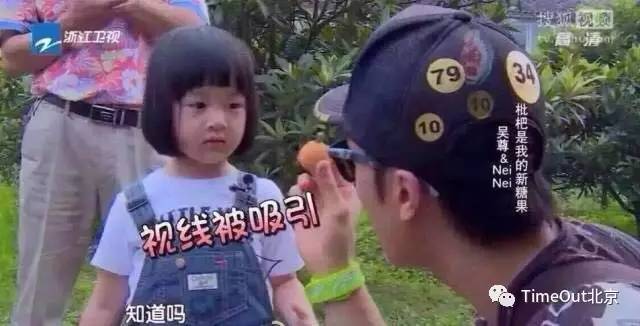 防蚊攻略让蚊子和您擦肩而过,夏日蚊虫大作战