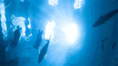 单飞露营,露营还可以做哪些活动