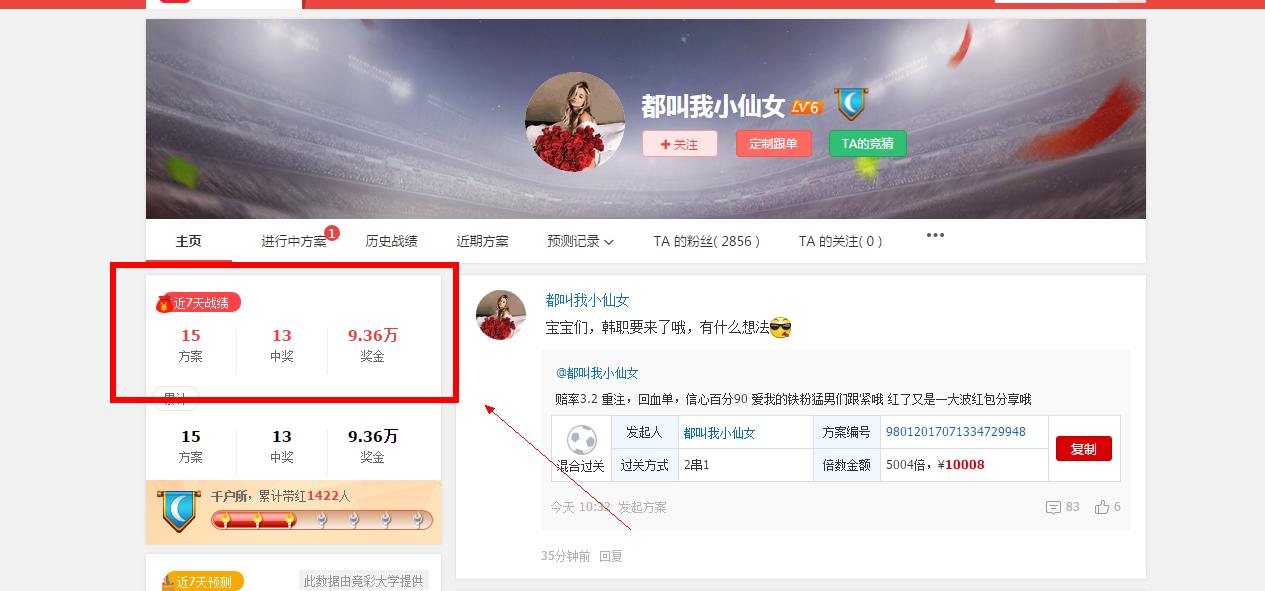 足彩投资的方法和技巧,足彩技巧玩足彩如何盈利