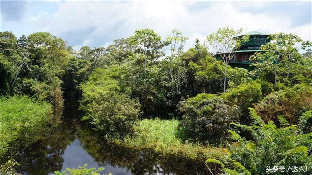 从亚马逊雨林到安纳托,最靠近亚马逊丛林的城市