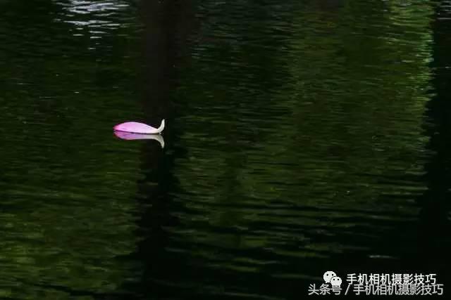 拍好照片的三个标准你值得一看,拍一张好照片容易吗