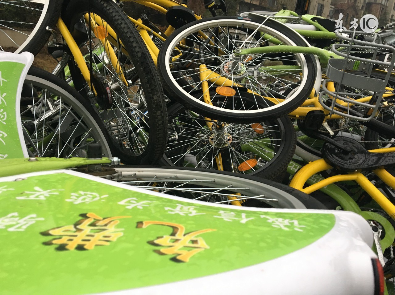 共享问题如何解决,共享文件解决办法