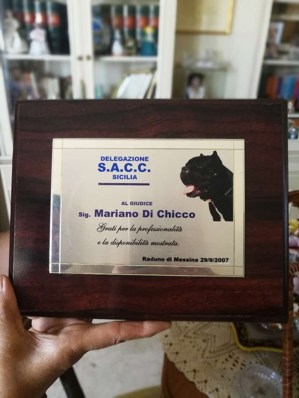 千年古老犬种卡斯罗,寻根之旅巴里坤