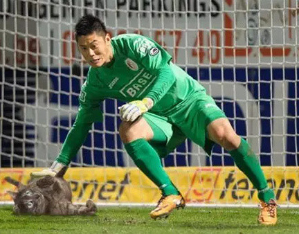 足球恶搞ps,足球的ps搞笑图