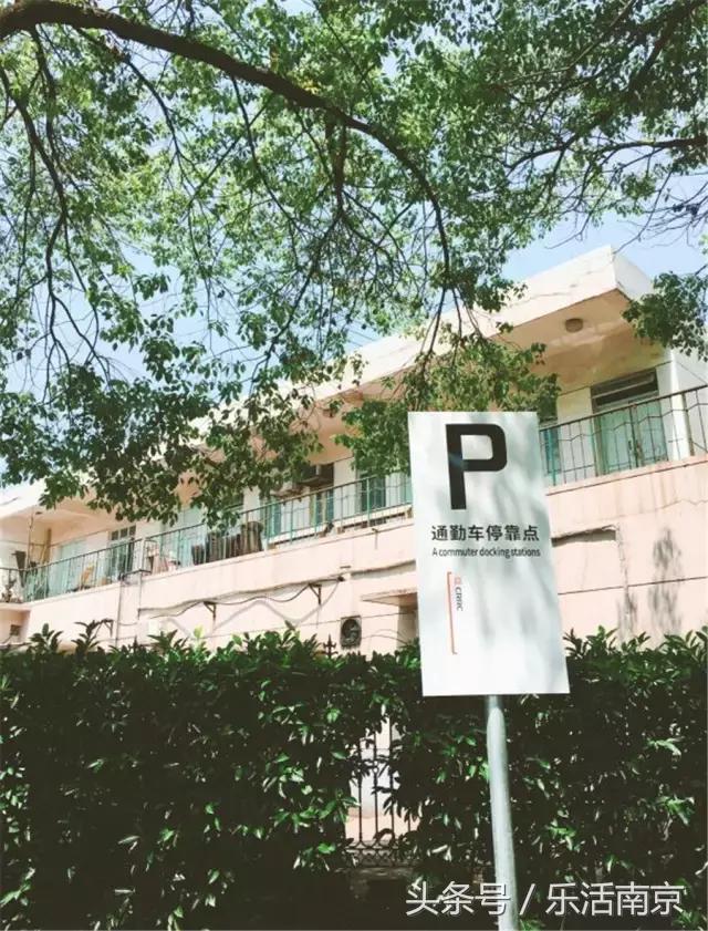 鎴戞渶濂界殑闈掓槬,鎴戞渶濂界殑闈掓槬瑙嗛