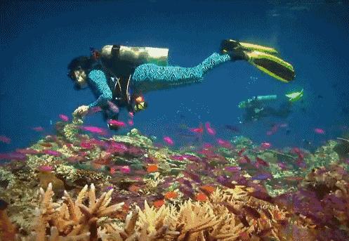 三亚潜水避坑攻略,三亚潜水新技巧