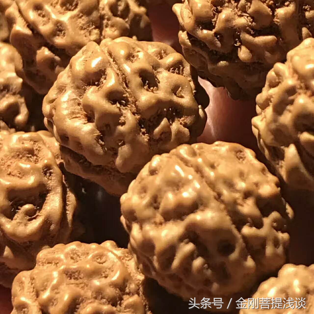 金刚菩提纹路里反碱,六瓣雪花金刚菩提纹路