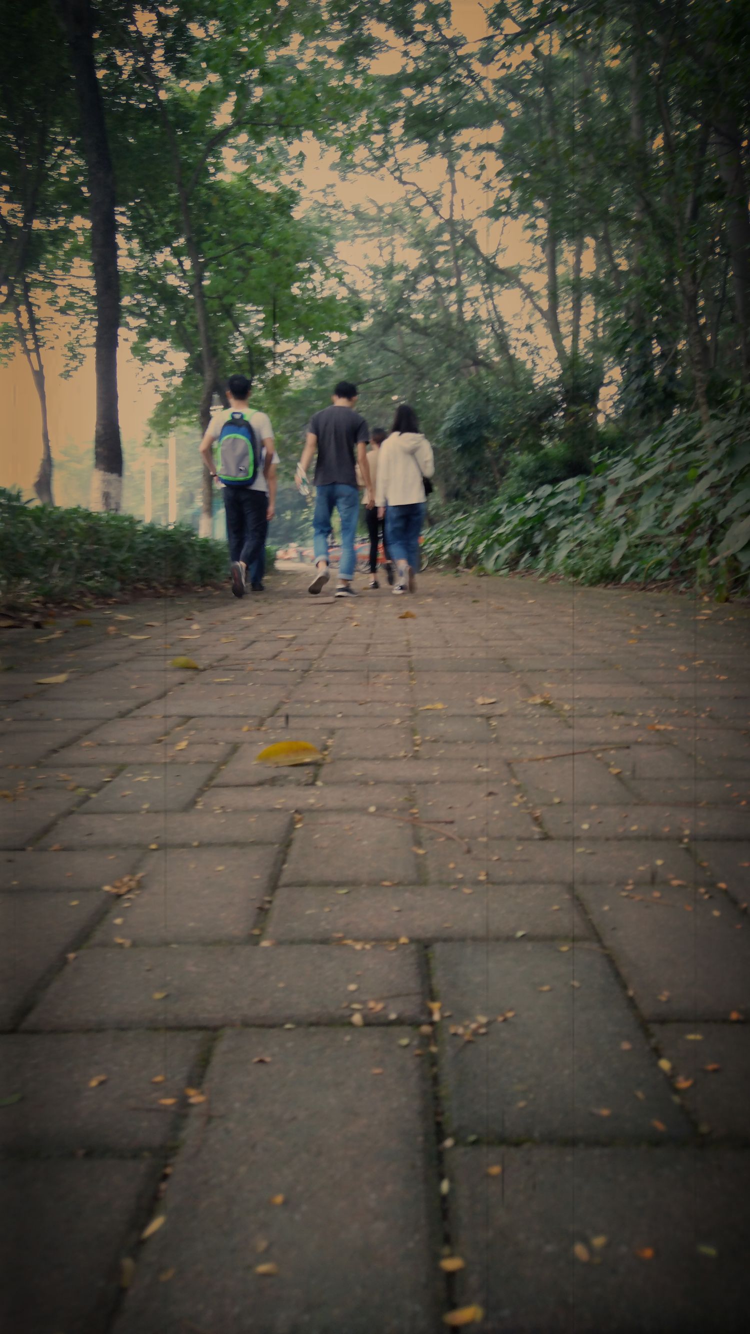 z11minis的rom,z11minis黑金版