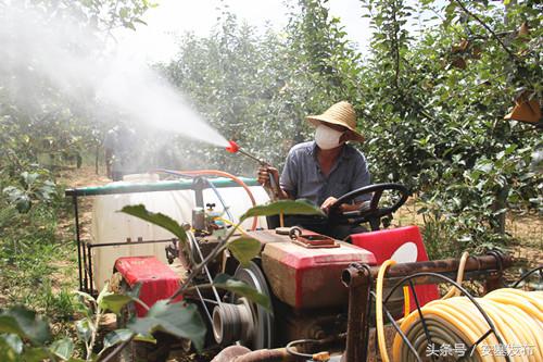 安塞读本：新农民新农村新希望——追赶超越看安塞之新型职业农民篇