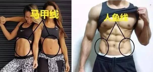 人鱼线等级划分标准,人鱼线是上下半身分界线吗
