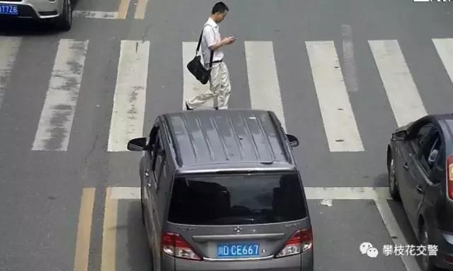 今天,我们来为这些攀枝花驾驶员点个赞吧