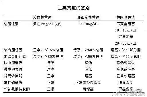 肝脏两对半指标怎么看,肝功能报告单怎么看肝数值