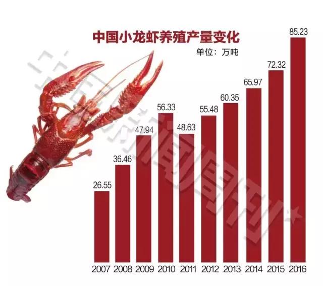 小龙虾,我们走!200亿只小龙虾的饕餮之旅