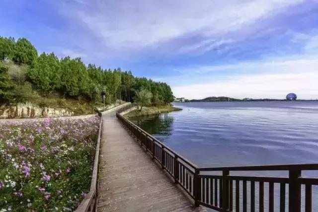 一分钟新闻丨雁栖岛免费开放啦、60岁以上老人剪发只需1元，更多民生信息关系你我~