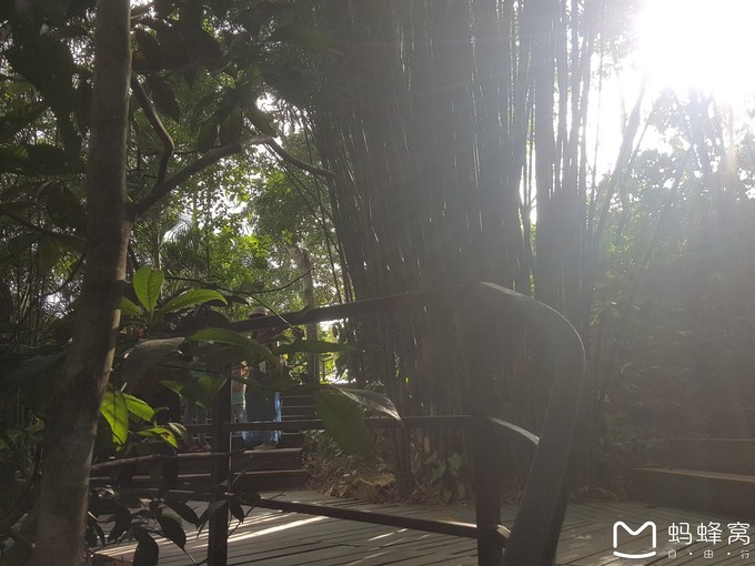 三亚10天行程攻略亲子,一家四口三亚七日游