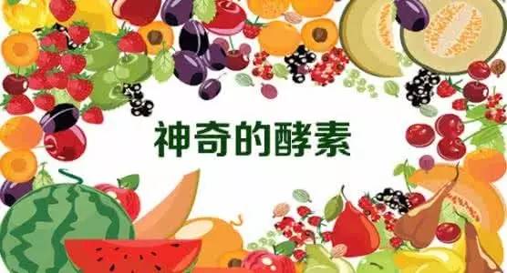 龙文智造｜政融生物：首开大陆酵素生产先河