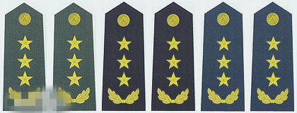 火箭军少校军衔肩章是什么样子,1955年陆军技术少校肩章图片