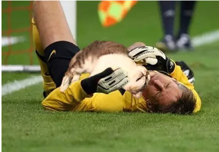 足球恶搞ps,足球的ps搞笑图