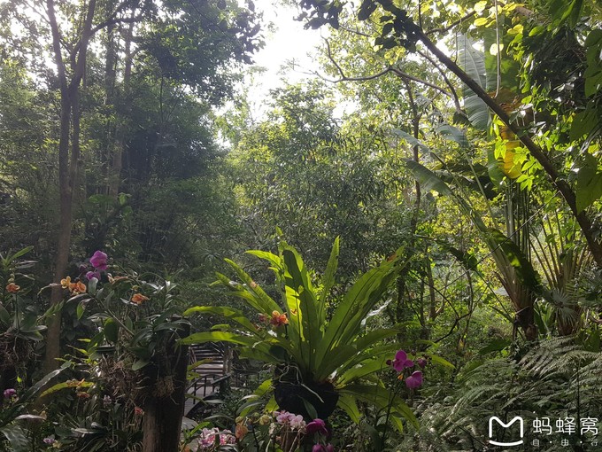 三亚10天行程攻略亲子,一家四口三亚七日游