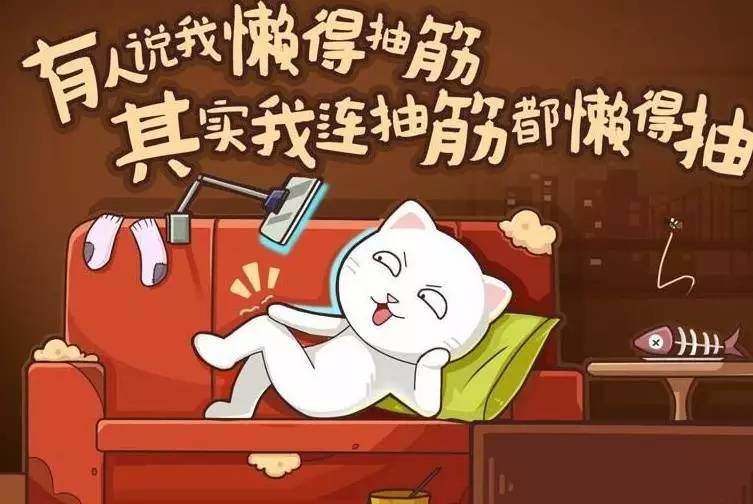 凤姐眼中的纽约,凤姐眼中的晴雯
