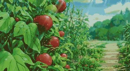 小说你若盛开清风自来,你若盛开清风自来作文