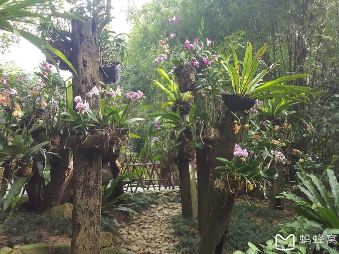 三亚10天行程攻略亲子,一家四口三亚七日游